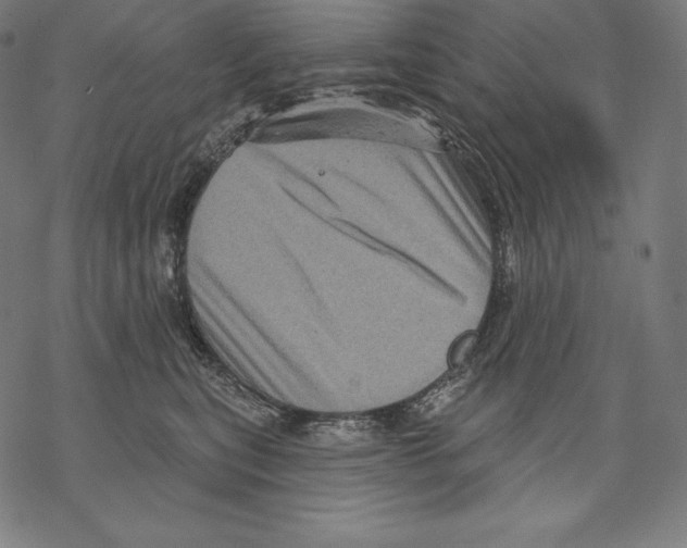 X0000067860567200605111737