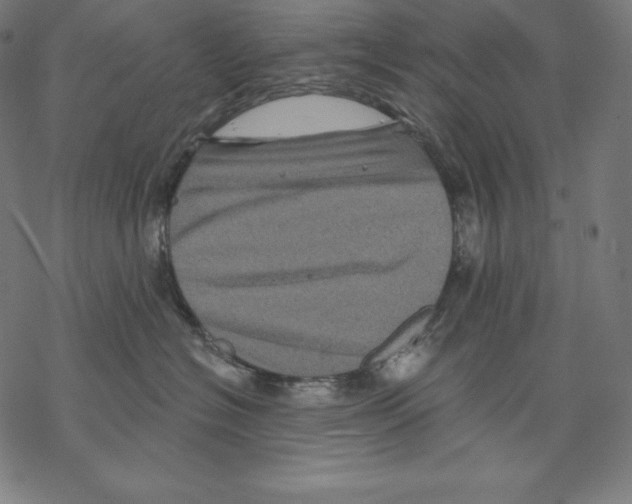 X0000067860574200605111737