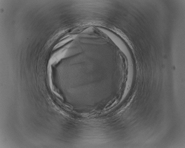 X0000067860577200605111736