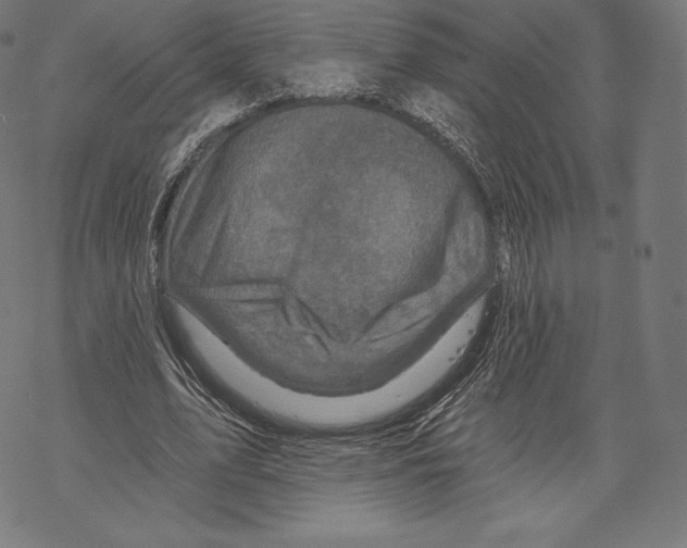 X0000067860583200605111736