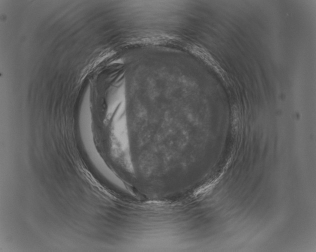 X0000067860585200605111736