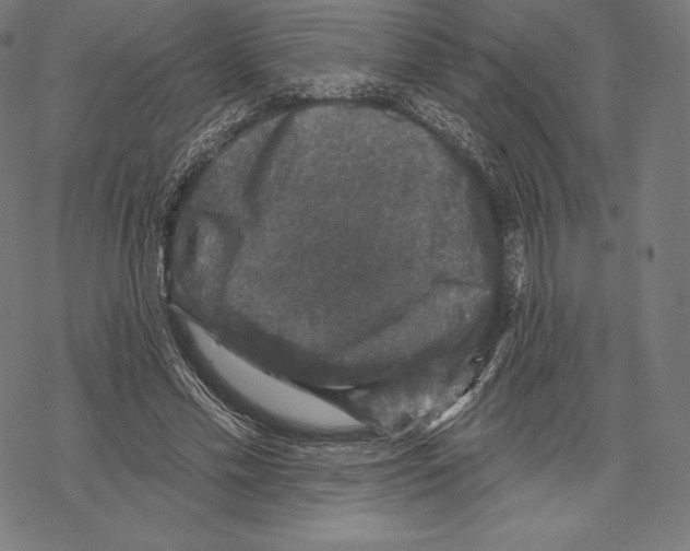 X0000067860589200605111736
