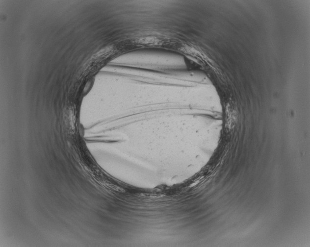 X0000067860597200605111736