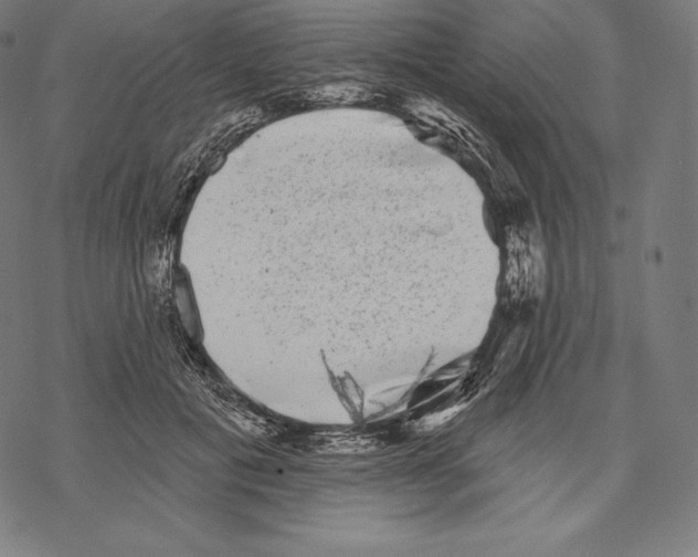 X0000067860601200605111736
