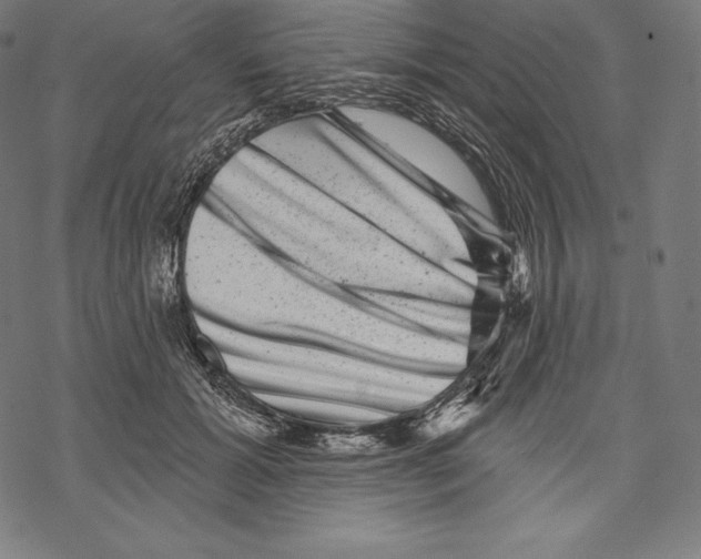 X0000067860605200605111735