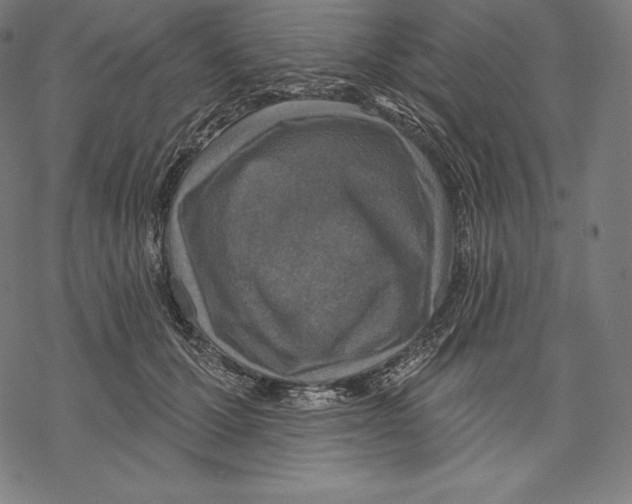 X0000067860607200605111735