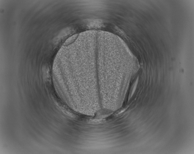 X0000067860619200605111735