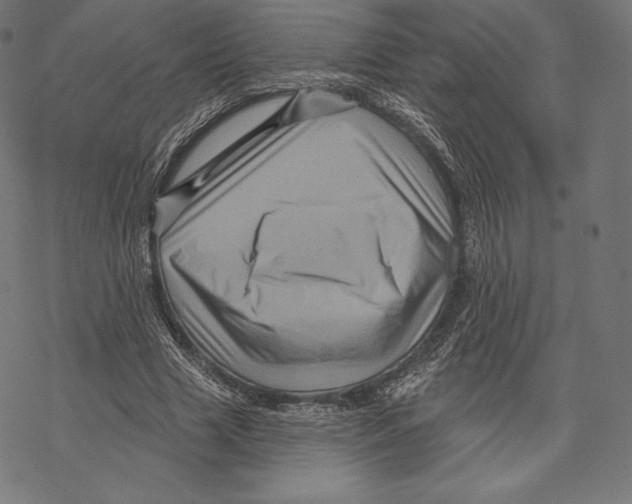 X0000067860633200605111735