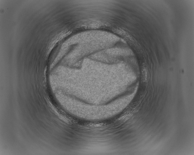X0000067860638200605111735