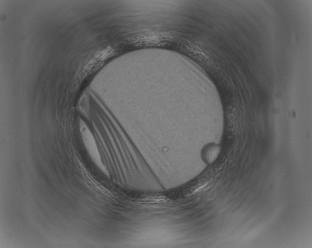 X0000067860642200605111735