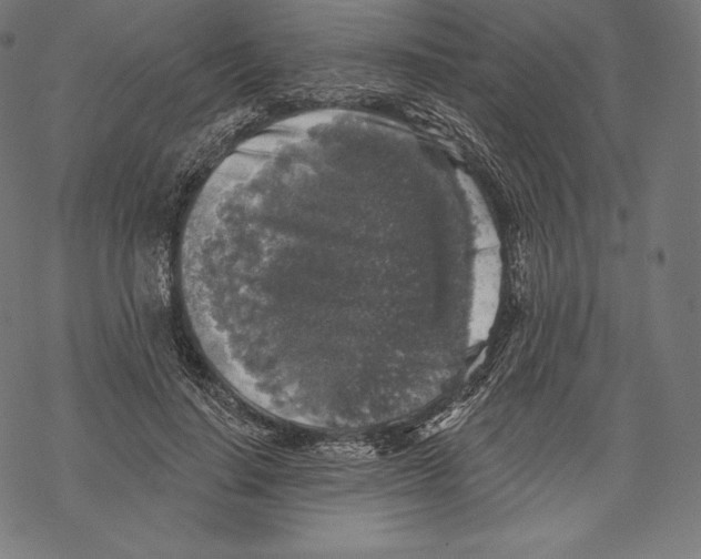X0000067860644200605111735
