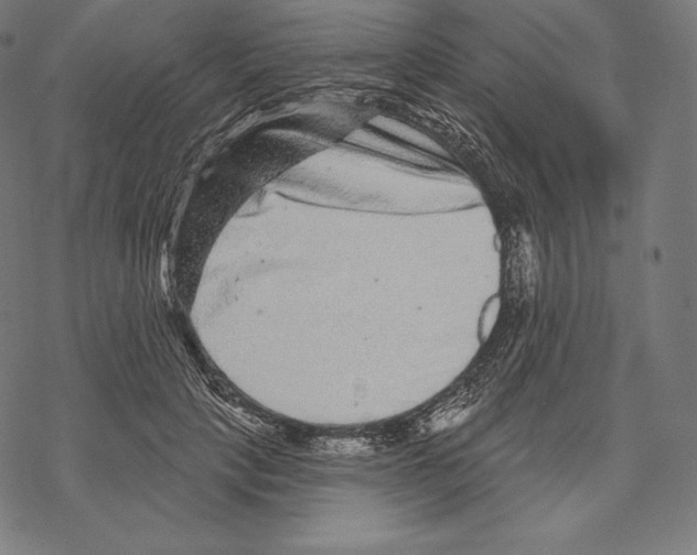 X0000067860649200605111735