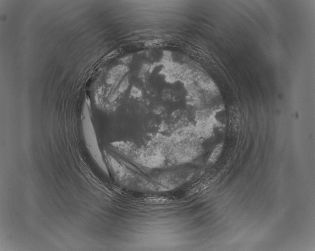 X0000067860650200605111735