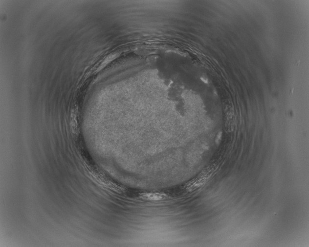 X0000067860654200605111735