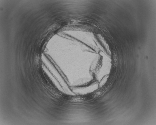 X0000067860657200605111735