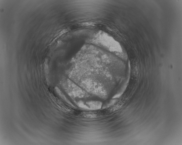 X0000067860658200605111735