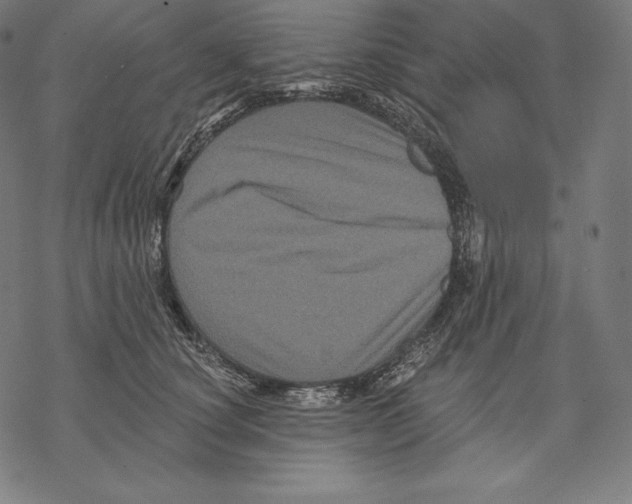 X0000067860660200605111735