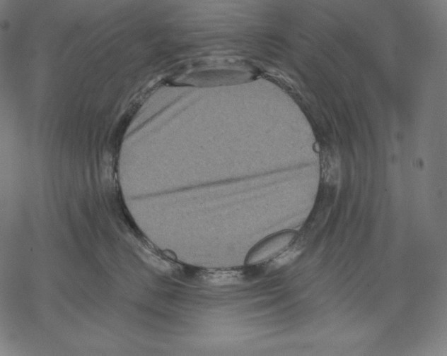 X0000067860670200605111735