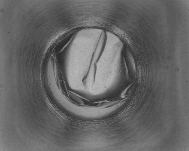 X0000067860680200605111734