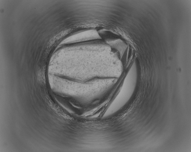 X0000067860681200605111734