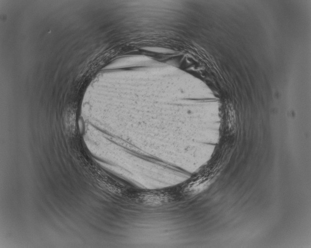 X0000067860697200605111734