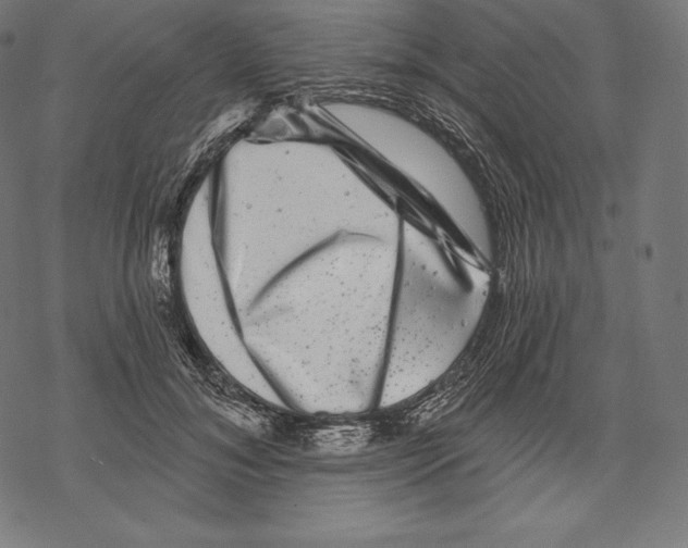 X0000067860700200605111734