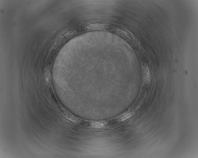 X0000067860701200605111734