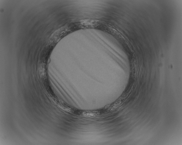 X0000067860706200605111734