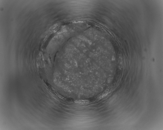 X0000067860707200605111734