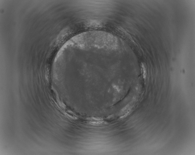 X0000067860708200605111734