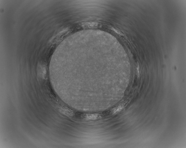 X0000067860709200605111734