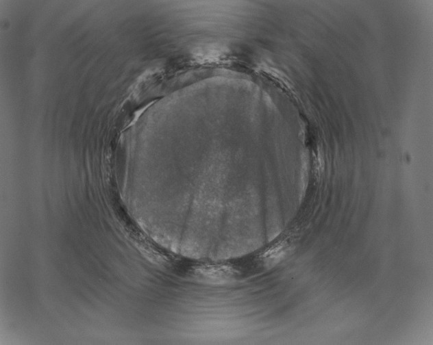 X0000067860712200605111734
