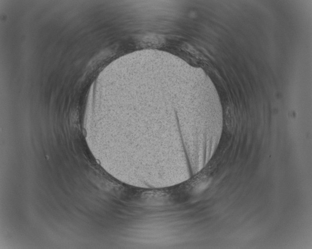 X0000067860714200605111734