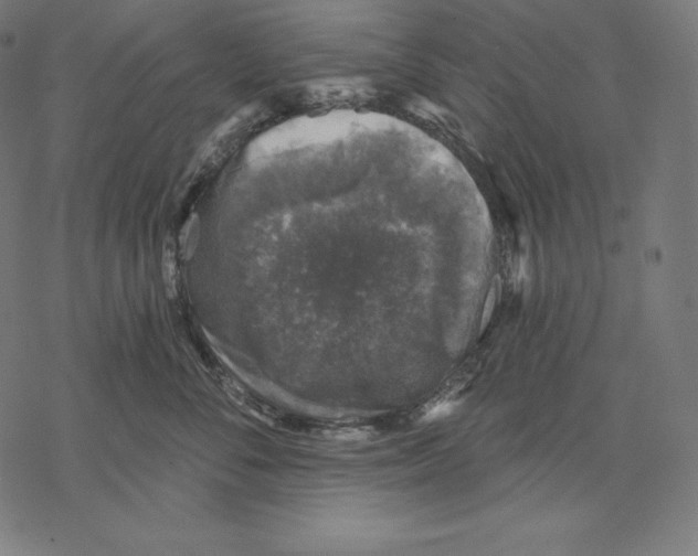 X0000067860716200605111734