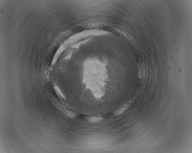 X0000067860718200605111734