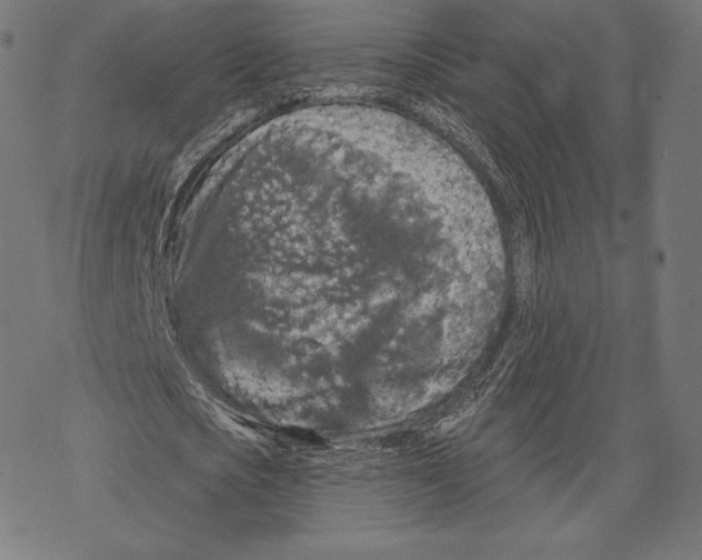 X0000067860721200605111733