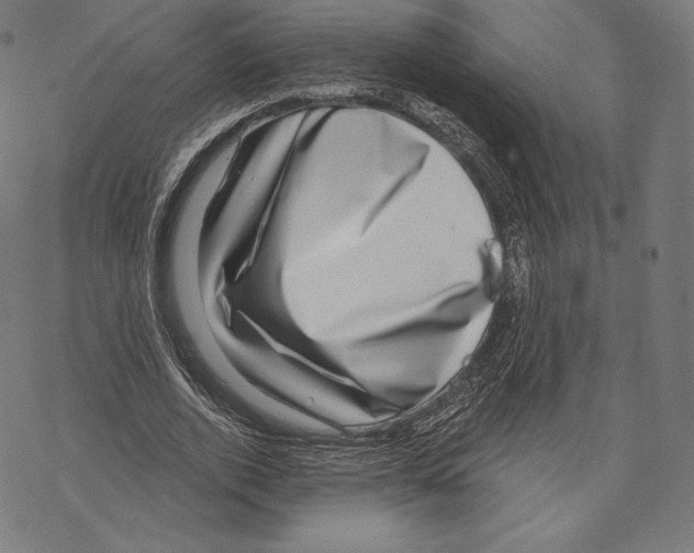 X0000067860728200605111733