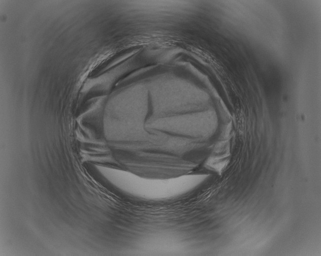 X0000067860731200605111733