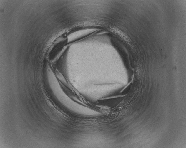 X0000067860732200605111733