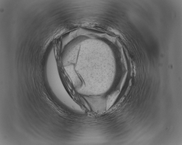 X0000067860735200605111733