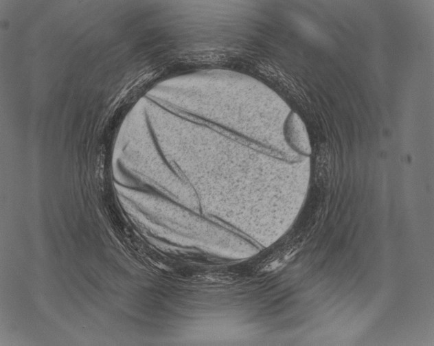 X0000067860739200605111733