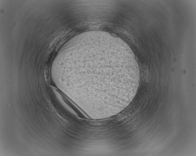 X0000067860740200605111733