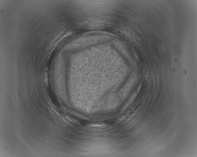 X0000067860744200605111733
