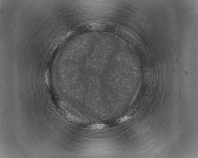 X0000067860748200605111733