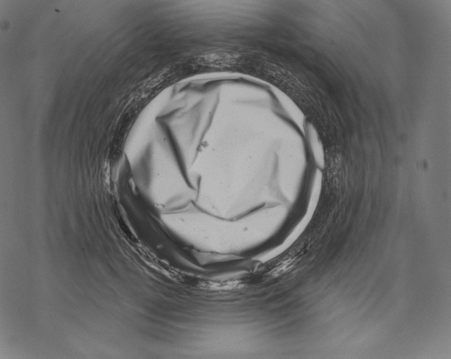 X0000067860752200605111733