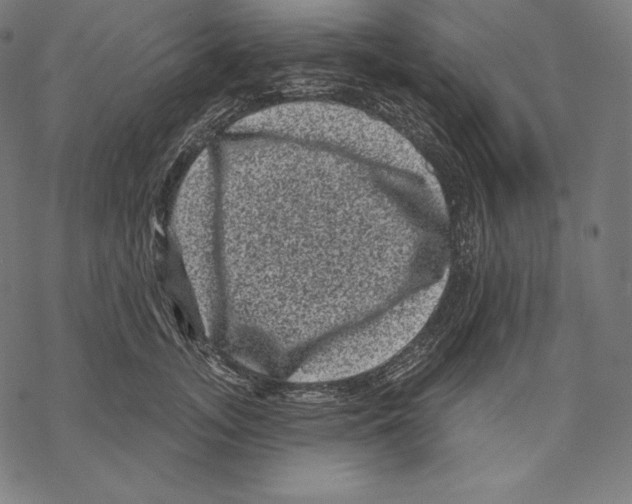 X0000067860755200605111733