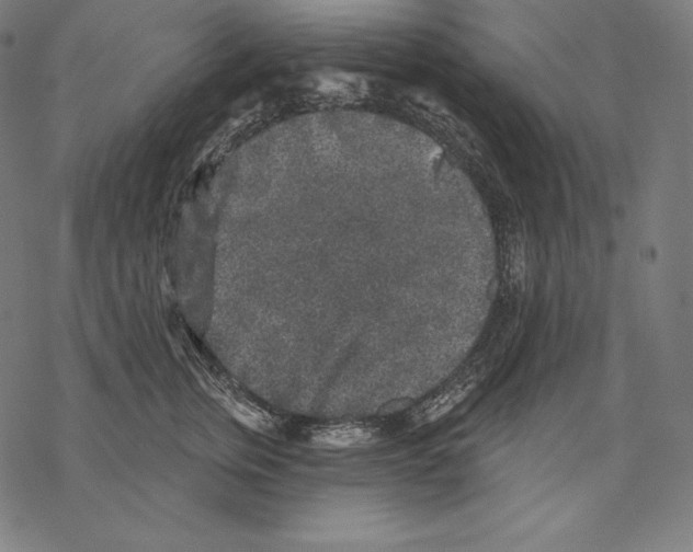 X0000067860759200605111733