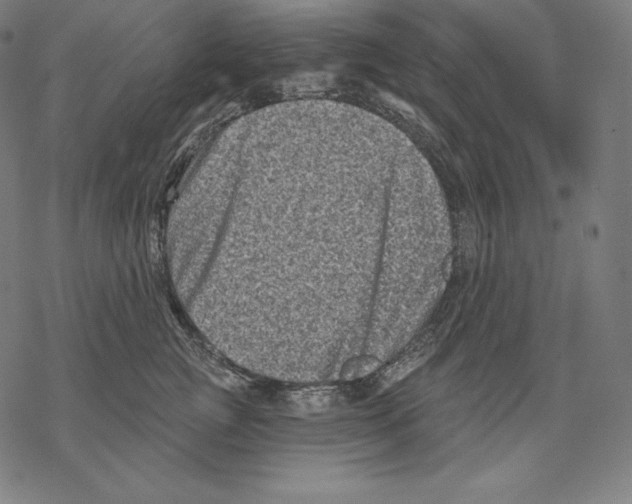 X0000067860761200605111733