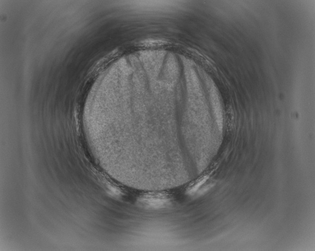 X0000067860762200605111733