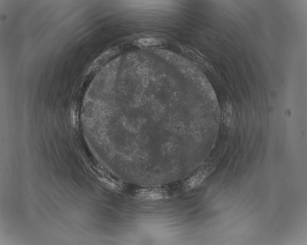 X0000067860763200605111734